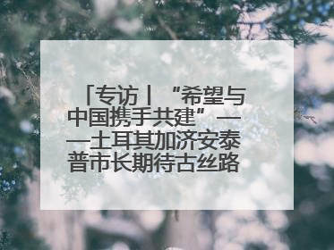 专访丨“希望与中国携手共建”——土耳其加济安泰普市长期待古丝路重镇焕发新活力
