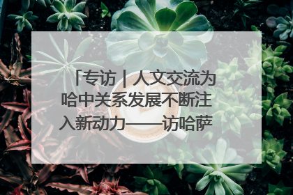 专访｜人文交流为哈中关系发展不断注入新动力——访哈萨克斯坦文化与信息部部长巴拉耶娃