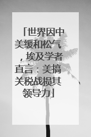 世界因中美缓和松气，埃及学者直言：美搞关税战损其领导力