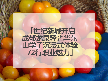 世纪新城开启 成都龙泉驿光华东山学子沉浸式体验72行职业魅力