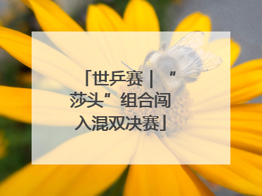 世乒赛｜“莎头”组合闯入混双决赛