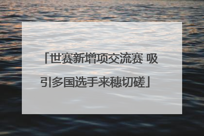 世赛新增项交流赛 吸引多国选手来穗切磋