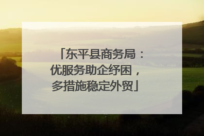 东平县商务局：优服务助企纾困，多措施稳定外贸