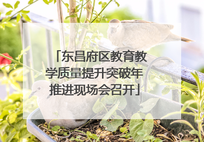 东昌府区教育教学质量提升突破年推进现场会召开