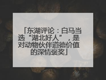 东湖评论：白马当选“湖北好人”，是对动物伙伴道德价值的深情褒奖