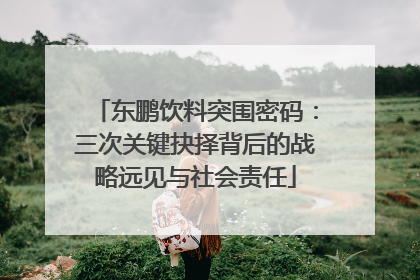 东鹏饮料突围密码：三次关键抉择背后的战略远见与社会责任