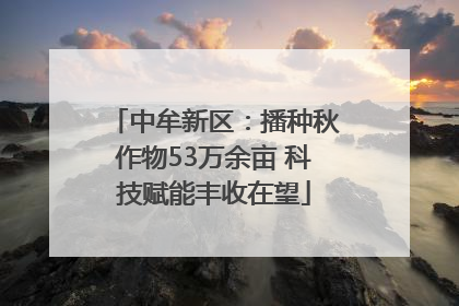 中牟新区：播种秋作物53万余亩 科技赋能丰收在望