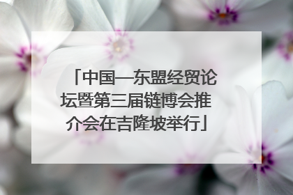 中国—东盟经贸论坛暨第三届链博会推介会在吉隆坡举行