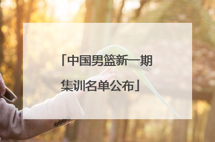 中国男篮新一期集训名单公布