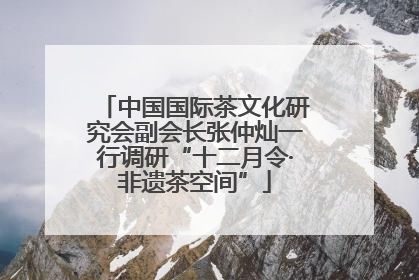中国国际茶文化研究会副会长张仲灿一行调研“十二月令·非遗茶空间”