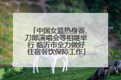 中国女篮热身赛、刀郎演唱会等相继举行 临沂市全力做好住宿餐饮保障工作