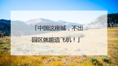 中国这座城，不出园区就能造飞机！