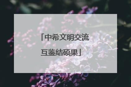 中希文明交流互鉴结硕果