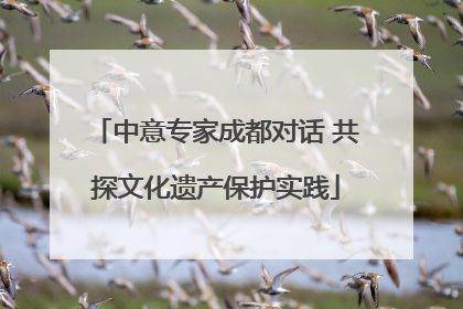 中意专家成都对话 共探文化遗产保护实践