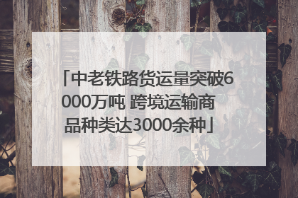 中老铁路货运量突破6000万吨 跨境运输商品种类达3000余种