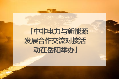 中非电力与新能源发展合作交流对接活动在岳阳举办