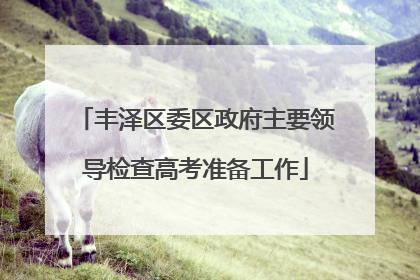 丰泽区委区政府主要领导检查高考准备工作