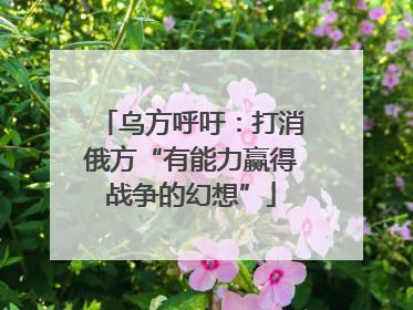 乌方呼吁：打消俄方“有能力赢得战争的幻想”