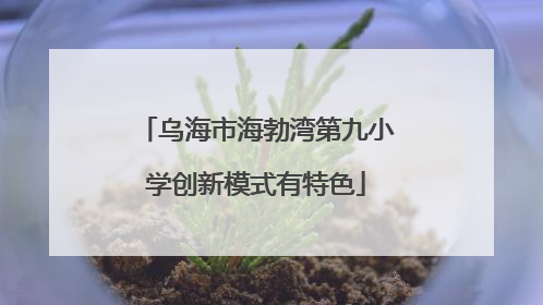 乌海市海勃湾第九小学创新模式有特色