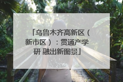 乌鲁木齐高新区（新市区）：贯通产学研 融出新图景