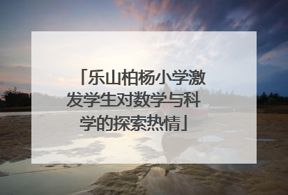 乐山柏杨小学激发学生对数学与科学的探索热情