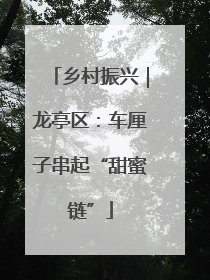 乡村振兴｜龙亭区：车厘子串起“甜蜜链”
