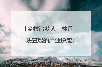 乡村追梦人｜林丹：一块豆腐的产业逆袭