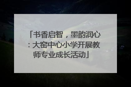 书香启智，墨韵润心：大窑中心小学开展教师专业成长活动