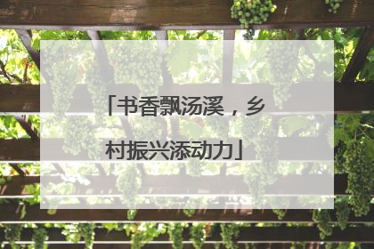 书香飘汤溪，乡村振兴添动力