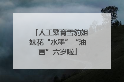 人工繁育雪豹姐妹花“水墨”“油画”六岁啦