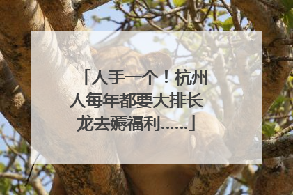 人手一个！杭州人每年都要大排长龙去薅福利……