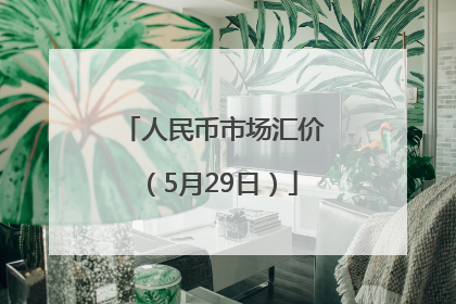 人民币市场汇价（5月29日）