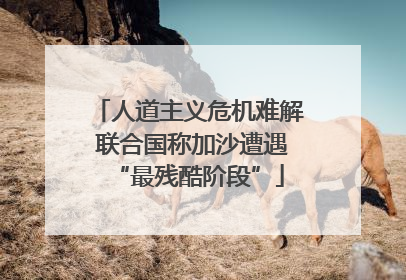 人道主义危机难解 联合国称加沙遭遇“最残酷阶段”