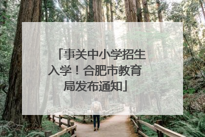 事关中小学招生入学！合肥市教育局发布通知