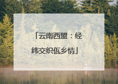 云南西盟：经纬交织佤乡情