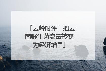 云岭时评｜把云南野生菌流量转变为经济增量