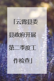 云霄县委县政府开展第二季度工作检查