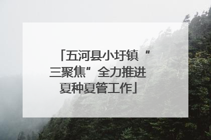 五河县小圩镇“三聚焦”全力推进夏种夏管工作