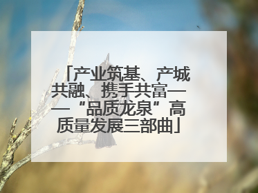 产业筑基、产城共融、携手共富——“品质龙泉”高质量发展三部曲