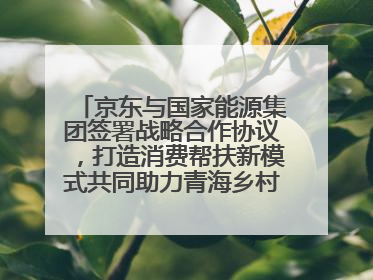 京东与国家能源集团签署战略合作协议，打造消费帮扶新模式共同助力青海乡村振兴发展