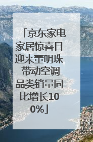 京东家电家居惊喜日迎来董明珠 带动空调品类销量同比增长100%