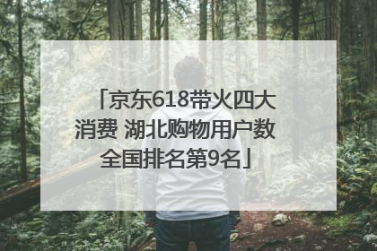 京东618带火四大消费 湖北购物用户数全国排名第9名