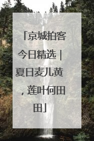 京城拍客今日精选｜夏日麦儿黄，莲叶何田田