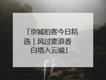 京城拍客今日精选｜风过麦浪香 白塔入云端