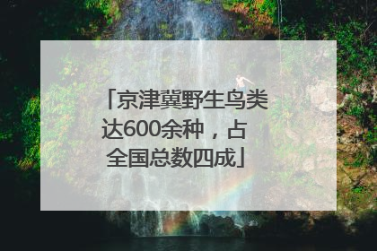 京津冀野生鸟类达600余种，占全国总数四成