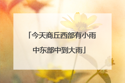今天商丘西部有小雨 中东部中到大雨