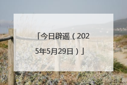 今日辟谣（2025年5月29日）