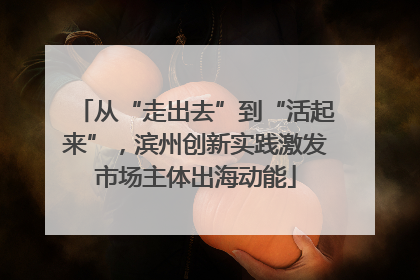 从“走出去”到“活起来”，滨州创新实践激发市场主体出海动能