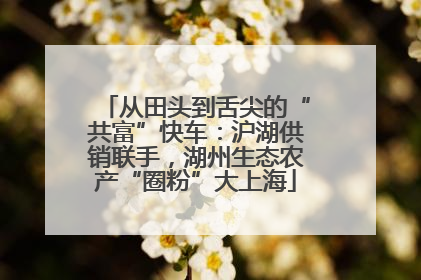 从田头到舌尖的“共富”快车：沪湖供销联手，湖州生态农产“圈粉”大上海