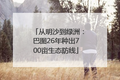 从明沙到绿洲：巴图26年种出700亩生态防线